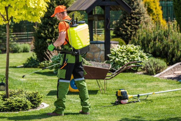 Best Pest Exclusion Services  in Hoffman Estates, IL